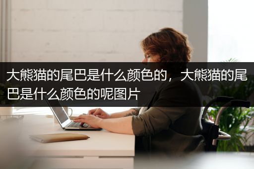 大熊猫的尾巴是什么颜色的，大熊猫的尾巴是什么颜色的呢图片